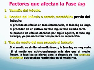 Factores que afectan la Fase lag
1.  Tamaño del inóculo.
2.  Bondad del inóculo o estado metabólico previo del
inóculo:
Si procede de células en fase estacionaria, la fase lag es larga.
Si proceden de un cultivo en fase log, la fase es más corta.
Si procede de células dañadas por algún agente, la fase lag
es larga, ya que necesitan tiempo para su reparación.
3. Tipo de medio del que procede el inóculo:
Si el medio es similar al medio fresco, la fase lag es muy corta.
Si el medio era nutricionalmente más rico que el medio
fresco, la fase lag se alarga para la síntesis de las enzimas
inducibles que estaban reprimidas en el medio rico.
 