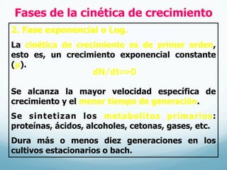 Fases de la cinética de crecimiento
2. Fase exponencial o Log.
La cinética de crecimiento es de primer orden,
esto es, un crecimiento exponencial constante
(µ).
Se alcanza la mayor velocidad específica de
crecimiento y el menor tiempo de generación.
Se sintetizan los metabolitos primarios:
proteínas, ácidos, alcoholes, cetonas, gases, etc.
Dura más o menos diez generaciones en los
cultivos estacionarios o bach.
dN/dt=>0
 
