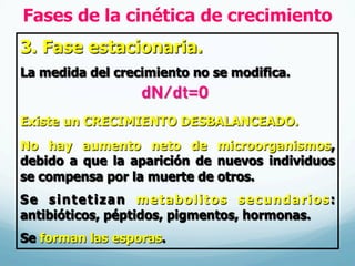 Fases de la cinética de crecimiento
3. Fase estacionaria.
La medida del crecimiento no se modifica.
Existe un CRECIMIENTO DESBALANCEADO.
No hay aumento neto de microorganismos,
debido a que la aparición de nuevos individuos
se compensa por la muerte de otros.
Se sintetizan metabolitos secundarios:
antibióticos, péptidos, pigmentos, hormonas.
Se forman las esporas.
dN/dt=0
 