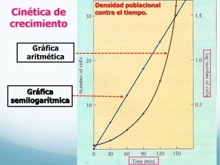 Gráfica
aritmética
Cinética de
crecimiento
Densidad poblacional
contra el tiempo.
Gráfica
semilogarítmica
 