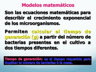 Modelos matemáticos
Son las ecuaciones matemáticas para
describir el crecimiento exponencial
de los microorganismos.
Permiten calcular el tiempo de
generación (g) a partir del número de
bacterias presentes en el cultivo a
dos tiempos diferentes.
Tiempo de generación: es el tiempo requerido para
duplicar el número de bacterias ó la masa.
 