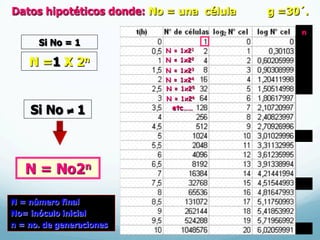 Datos hipotéticos donde: No = una célula g =30´.
N = No2n
N = 1x21
N = 1x22
N = 1x23
N = 1x24
N = 1x25
N = 1x26
etc……
n
0
1
2
3
4
5
10
15
20
N =1 X 2n
N = número final
No= inóculo inicial
n = no. de generaciones
Si No ≠ 1
Si No = 1
 
