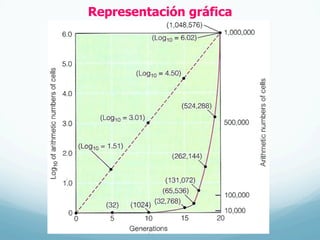 Representación gráfica
 