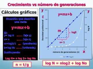 Cálculos gráficos
Ecuación que describe
una recta
y=mx+b
Si:
y= log N (eje y)
x= n (eje x)
m=log2/1 (pendiente)
b=log No (ordenada)
Sustituyendo:
Log N= n log 2+ log No
Crecimiento vs número de generaciones
log N = nlog2 + log No
0
256
512
768
1024
0 2 4 6 8 10
número de generaciones (n)
Densidadpoblacional(n)
0.0
0.6
1.2
1.8
2.4
3.0
logN
N log	N
(N)
log2
n= 1
y
x
m
y=mx+b
y
n = t/g
 