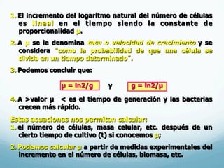 1.  El incremento del logaritmo natural del número de células
es lineal en el tiempo siendo la constante de
proporcionalidad µ.
2.  A µ se le denomina tasa o velocidad de crecimiento y se
considera “como la probabilidad de que una célula se
divida en un tiempo determinado”.
3.  Podemos concluir que:
µ = ln2/g y g = ln2/µ
4.  A >valor µ < es el tiempo de generación y las bacterias
crecen más rápido.
Estas ecuaciones nos permiten calcular:
1.  el número de células, masa celular, etc. después de un
cierto tiempo de cultivo (t) si conocemos µ;
2.  Podemos calcular µ a partir de medidas experimentales del
incremento en el número de células, biomasa, etc.
 