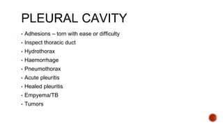 PLEURAL CAVITY
▪ Adhesions – torn with ease or difficulty
▪ Inspect thoracic duct
▪ Hydrothorax
▪ Haemorrhage
▪ Pneumothorax
▪ Acute pleuritis
▪ Healed pleuritis
▪ Empyema/TB
▪ Tumors
 