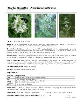 * Mountain (Sierra) Mint – Pycnanthemum californicum
(pick-NAN-the-mum kal-ih-FOR-ni-kum )
Family: Lamiaceae (Mint Family)
Native to: Mountain ranges & foothills of California. Locally in the San Gabriels; moist sites in
chaparral, oak woodland, and coniferous forests, 1,500-5,500' elevation.
Growth characteristics: herbaceous perennial mature height: 1-3 ft. mature width: spreading
Spreading, herbaceous groundcover that dies back if water-stressed. Leaves shiny green, lance-
shaped, typical for mints. Plant has strong minty scent when crushed.
Blooms/fruits: Blooms in spring or summer. Flowers are small, white with purple spots, in clusters
in the leaf axils. Flowers very typical for Mint family, attract butterflies, hummingbirds.
Uses in the garden: Best used in moist areas of the garden – lawn edges, etc. Makes a surprisingly
hardy ground cover. Good choice under fountains & birdbaths. Would also work will in large
containers. Fragrant foliage useful as a seasoning, for teas, or as a cold remedy (traditional use).
Sensible substitute for: Non-native mints.
Attracts: Excellent butterfly nectar plant.
Requirements:
Element Requirement
Sun Part sun best. Morning sun or dappled sun.
Soil Most local soil types and pH’s.
Water Best in moist soils – Water Zone 2-3 to 3.
Fertilizer Not needed if organic mulch used.
Other Organic leaf mulch best.
Management: Plant will spread, so contain if this is an issue. Easy to pull out unwanted stems.
Cut back to nearly the ground when it becomes raggedy.
Propagation: from seed: easy with fresh seed by cuttings: fairly easy, spring/summer
Plant/seed sources (see list for source numbers): 1, 6, 8, 13, 14 4/29/12
© Project SOUND
 