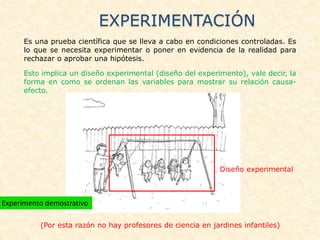 Es una prueba científica que se lleva a cabo en condiciones controladas. Es
lo que se necesita experimentar o poner en evidencia de la realidad para
rechazar o aprobar una hipótesis.
Esto implica un diseño experimental (diseño del experimento), vale decir, la
forma en como se ordenan las variables para mostrar su relación causa-
efecto.
Diseño experimental
(Por esta razón no hay profesores de ciencia en jardines infantiles)
EXPERIMENTACIÓN
Experimento demostrativo
 
