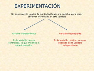 Un experimento implica la manipulación de una variable para poder
observar los efectos en otra variable
Variable independiente Variable dependiente
Es la variable que es
controlada, la que modifica el
experimentador.
Es la variable medida, su valor
depende de la variable
independiente
EXPERIMENTACIÓN
 