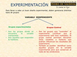 Para llevar a cabo un buen diseño experimental, deben generarse distintos
tipos de grupos
Grupos experimentales
• Son los grupos donde se
encuentra la variable
manipulada.
• Son aquellos que responden
la hipótesis.
Grupos Control
VARIABLE INDEPENDIENTE
• Son los grupos que "controlan" el
experimento (verifican que el
experimento esté bien realizado). El
grupo control permiten descartar
otras variables o factores que
podrían influenciar los resultados del
experimento.
• También se pueden identificar como
aquellos grupos sin la variable
experimental pero que conservan el
resto de las condiciones.
EXPERIMENTACIÓN
 