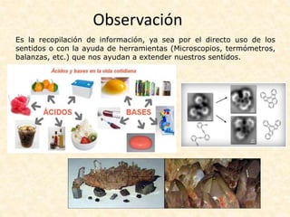Observación
Es la recopilación de información, ya sea por el directo uso de los
sentidos o con la ayuda de herramientas (Microscopios, termómetros,
balanzas, etc.) que nos ayudan a extender nuestros sentidos.
 