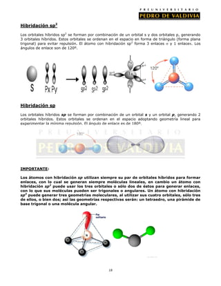 Hibridación sp2
Los orbitales híbridos sp2 se forman por combinación de un orbital s y dos orbitales p, generando
3 orbitales híbridos. Estos orbitales se ordenan en el espacio en forma de triángulo (forma plana
trigonal) para evitar repulsión. El átomo con hibridación sp 2 forma 3 enlaces
y 1 enlace . Los
ángulos de enlace son de 120º.

Hibridación sp
Los orbitales híbridos sp se forman por combinación de un orbital s y un orbital p, generando 2
orbitales híbridos. Estos orbitales se ordenan en el espacio adoptando geometría lineal para
experimentar la mínima repulsión. El ángulo de enlace es de 180º.

IMPORTANTE:
Los átomos con hibridación sp utilizan siempre su par de orbitales híbridos para formar
enlaces, con lo cual se generan siempre moléculas lineales, en cambio un átomo con
hibridación sp2 puede usar los tres orbitales o sólo dos de éstos para generar enlaces,
con lo que sus moléculas pueden ser trigonales o angulares. Un átomo con hibridación
sp3 puede generar tres geometrías moleculares, al utilizar sus cuatro orbitales, sólo tres
de ellos, o bien dos; así las geometrías respectivas serán: un tetraedro, una pirámide de
base trigonal o una molécula angular.

18

 