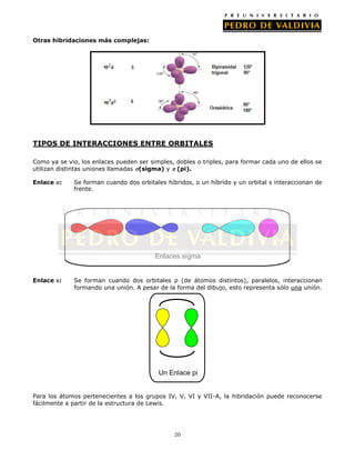 Otras hibridaciones más complejas:

TIPOS DE INTERACCIONES ENTRE ORBITALES
Como ya se vio, los enlaces pueden ser simples, dobles o triples, para formar cada uno de ellos se
utilizan distintas uniones llamadas (sigma) y (pi).
Enlace :

Se forman cuando dos orbitales híbridos, o un híbrido y un orbital s interaccionan de
frente.

Enlaces sigma
Enlace :

Se forman cuando dos orbitales p (de átomos distintos), paralelos, interaccionan
formando una unión. A pesar de la forma del dibujo, esto representa sólo una unión.

Un Enlace pi
Para los átomos pertenecientes a los grupos IV, V, VI y VII-A, la hibridación puede reconocerse
fácilmente a partir de la estructura de Lewis.

20

 