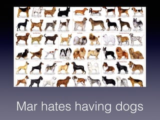 Mar hates having dogs
 