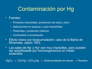 Contaminación por Hg
• Fuentes:
– Procesos industriales: producción de soda y cloro
– Aplicaciones en equipos y usos industriales
– Pesticidas y productos médicos
– Combustión e incineración
• Efecto tóxico por bioacumulación: caso de la Bahía de
Minamata, Japón 1953.
• Las sales de Hg+
y Hg2+
son muy insolubles, pero pueden
ser solubilizadas por microorganismos en medio
anaerobio
HgCl2 → CH3Hg+
/ (CH3)2Hg → bioacumulación en peces → Humano
 
