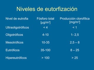 Niveles de eutorfización
Nivel de eutrofia Fósforo total
[µg/m3
]
Producción clorofílica
[mg/m3
]
Ultraoligotróficos < 4 < 1
Oligotróficos 4-10 1- 2,5
Mesotróficos 10-35 2,5 – 8
Eutróficos 35-100 8 – 25
Hipereutróficos > 100 > 25
 