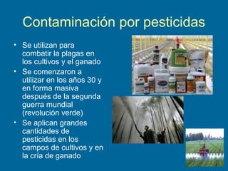 Contaminación por pesticidas
• Se utilizan para
combatir la plagas en
los cultivos y el ganado
• Se comenzaron a
utilizar en los años 30 y
en forma masiva
después de la segunda
guerra mundial
(revolución verde)
• Se aplican grandes
cantidades de
pesticidas en los
campos de cultivos y en
la cría de ganado
 