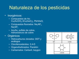 Naturaleza de los pesticidas
• Inorgánicos:
– Compuestos de As:
Cu(AcOH)2.3Cu(AsO2)2, PbHAsO4
– Compuestos fluorados: Na3AlF6,
Na2SiF6
– Azufre, sulfato de cobre,
hidroxicloruro de cobre
• Orgánicos
– Hidrocarburos clorados: DDT y
análogos
– Clorofenoxiácidos: 2,4-D
– Organofosforados: Paratión
– Carbamatos: Carbaril, baygon
 