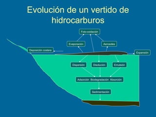 Evolución de un vertido de
hidrocarburos
Dispersión Disolución Emulsión
Expansión
Adsorción Biodegradación Absorción
Sedimentación
Evaporación Aerosoles
Deposición costera
Foto-oxidación
 