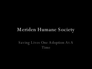Meriden Humane Society Saving Lives One Adoption At A Time 