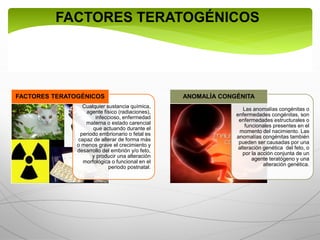 FACTORES TERATOGÉNICOS
Cualquier sustancia química,
agente físico (radiaciones),
infeccioso, enfermedad
materna o estado carencial
que actuando durante el
periodo embrionario o fetal es
capaz de alterar de forma más
o menos grave el crecimiento y
desarrollo del embrión y/o feto,
y producir una alteración
morfológica o funcional en el
periodo postnatal.
FACTORES TERATOGÉNICOS
Las anomalías congénitas o
enfermedades congénitas, son
enfermedades estructurales o
funcionales presentes en el
momento del nacimiento. Las
anomalías congénitas también
pueden ser causadas por una
alteración genética del feto, o
por la acción conjunta de un
agente teratógeno y una
alteración genética.
ANOMALÍA CONGÉNITA
 