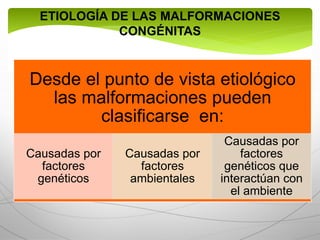 ETIOLOGÍA DE LAS MALFORMACIONES
CONGÉNITAS
Desde el punto de vista etiológico
las malformaciones pueden
clasificarse en:
Causadas por
factores
genéticos
Causadas por
factores
ambientales
Causadas por
factores
genéticos que
interactúan con
el ambiente
 