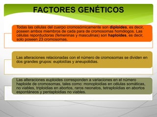 FACTORES GENÉTICOS
Todas las células del cuerpo cromosómicamente son diploides, es decir,
poseen ambos miembros de cada para de cromosomas homólogos. Las
células reporductoras (femeninas y masculinas) son haploides, es decir,
solo poseen 23 cromosomas.
Las alteraciones relacionadas con el número de cromosomas se dividen en
dos grandes grupos: euploidías y aneupolidias.
Las alteraciones euploides corresponden a variaciones en el número
haploide de cromosomas, tales como: monoploidias en células somáticas,
no viables, triploidias en abortos, raros neonatos, tetraploiidias en abortos
espontáneos y pentaploidias no viables.
 