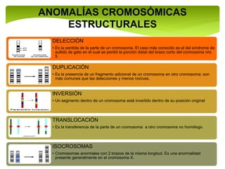 ANOMALÍAS CROMOSÓMICAS
ESTRUCTURALES
DELECCIÓN
• Es la perdida de la parte de un cromosoma. El caso más conocido es el del síndrome de
aullido de gato en el cual se perdió la porción distal del brazo corto del cromosoma nro.
5
DUPLICACIÓN
• Es la presencia de un fragmento adicional de un cromosoma en otro cromosoma; son
más comunes que las delecciones y menos nocivas.
INVERSIÓN
• Un segmento dentro de un cromosoma está invertido dentro de su posición original
TRANSLOCACIÓN
• Es la transferencia de la parte de un cromosoma a otro cromosoma no homólogo.
ISOCROSOMAS
• Cromosomas anormales con 2 brazos de la misma longitud. Es una anormalidad
presente generalmente en el cromosoma X.
 
