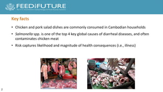 Quantitative microbial risk assessment of salmonellosis from chicken and pork salad consumption in Cambodian households