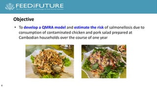 Quantitative microbial risk assessment of salmonellosis from chicken and pork salad consumption in Cambodian households
