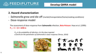 Quantitative microbial risk assessment of salmonellosis from chicken and pork salad consumption in Cambodian households