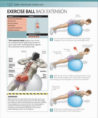 122 C O R E -T R A I N I N G E X E R C I S E S
This exercise helps balance your trunk
by conditioning the stabilizing muscles of
your lower back, challenging them against
the movement of the exercise ball.
EXERCISE BALL BACK EXTENSION
Keep your knees
slightly bent
Lie on an exercise ball with your abs and upper thighs
“wrapped” across it and your toes touching the floor.
Gently and smoothly lower your upper body
to the start position while breathing out.
With the tips of your fingers touching the sides of your
head, slowly straighten your body while breathing out,
contracting your abs and glutes to control the movement.
Before the exercise, check that the ball is the right size for your
limb length. You should be able to touch the ﬂoor with straight
arms when face down on the ball. Keep your movement controlled;
if you straighten your torso too fast you risk compressing the
vertebrae in the back and damaging your sciatic nerve. Do
not pull your torso above the natural line of your spine—
hyperextending your back can be dangerous.
WARNING!
TARGET MUSCLES TARGET MOVEMENT
 ▪ Transverse abdominis
 ▪ Pelvic ﬂoor
 ▪ Erector spinae
 ▪ Multiﬁdus
 ▪ Quadratus lumborum
 ▪ Gluteus maximus
Extension
DIFFICULTY LEVEL
Keep your toes
in contact with
the ﬂoor
Engage
your core
Tighten your
glutes
Pelvic
floor
(hidden)
Multifidus
Biceps
brachii
Gluteus
maximus
Quadratus
lumborum
Transverse
abdominis
(deep)
Erector
spinae
(deep)
Deltoids
Keep your shoulders
and neck aligned
 
