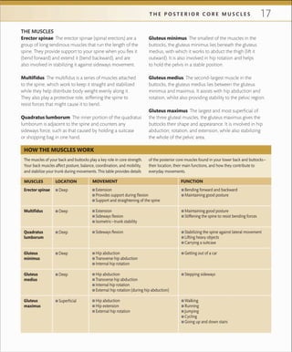 17T H E P O S T E R I O R C O R E M U S C L E S
THE MUSCLES
Erector spinae The erector spinae (spinal erectors) are a
group of long tendinous muscles that run the length of the
spine. They provide support to your spine when you flex it
(bend forward) and extend it (bend backward), and are
also involved in stabilizing it against sideways movement.
Multifidus The multifidus is a series of muscles attached
to the spine, which work to keep it straight and stabilized
while they help distribute body weight evenly along it.
They also play a protective role, stiffening the spine to
resist forces that might cause it to bend.
Quadratus lumborum The inner portion of the quadratus
lumborum is adjacent to the spine and counters any
sideways force, such as that caused by holding a suitcase
or shopping bag in one hand.
Gluteus minimus The smallest of the muscles in the
buttocks, the gluteus minimus lies beneath the gluteus
medius, with which it works to abduct the thigh (lift it
outward). It is also involved in hip rotation and helps
to hold the pelvis in a stable position.
Gluteus medius The second-largest muscle in the
buttocks, the gluteus medius lies between the gluteus
minimus and maximus. It assists with hip abduction and
rotation, whilst also providing stability to the pelvic region.
Gluteus maximus The largest and most superficial of
the three gluteal muscles, the gluteus maximus gives the
buttocks their shape and appearance. It is involved in hip
abduction, rotation, and extension, while also stabilizing
the whole of the pelvic area.
MUSCLES LOCATION FUNCTION
The muscles of your back and buttocks play a key role in core strength.
Your back muscles affect posture, balance, coordination, and mobility,
and stabilize your trunk during movements. This table provides details
of the posterior core muscles found in your lower back and buttocks—
their location, their main functions, and how they contribute to
everyday movements.
HOW THE MUSCLES WORK
Erector spinae
Multifidus
Quadratus
lumborum
Gluteus
minimus
Gluteus
medius
Gluteus
maximus
 ■ Deep
 ■ Deep
 ■ Deep
 ■ Deep
 ■ Deep
 ■ Superﬁcial
 ■ Bending forward and backward
 ■ Maintaining good posture
 ■ Maintaining good posture
 ■ Stiffening the spine to resist bending forces
 ■ Stabilizing the spine against lateral movement
 ■ Lifting heavy objects
 ■ Carrying a suitcase
 ■ Getting out of a car
 ■ Stepping sideways
 ■ Walking
 ■ Running
 ■ Jumping
 ■ Cycling
 ■ Going up and down stairs
 ■ Extension
 ■ Provides support during ﬂexion
 ■ Support and straightening of the spine
 ■ Extension
 ■ Sideways ﬂexion
 ■ Isometric—trunk stability
 ■ Sideways ﬂexion
 ■ Hip abduction
 ■ Transverse hip abduction
 ■ Internal hip rotation
 ■ Hip abduction
 ■ Transverse hip abduction
 ■ Internal hip rotation
 ■ ExternaI hip rotation (during hip abduction)
 ■ Hip abduction
 ■ Hip extension
 ■ ExternaI hip rotation
MOVEMENT
 