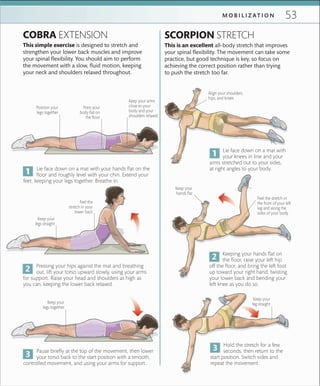 53M O B I L I Z A T I O N
COBRA EXTENSION
This simple exercise is designed to stretch and
strengthen your lower back muscles and improve
your spinal flexibility. You should aim to perform
the movement with a slow, fluid motion, keeping
your neck and shoulders relaxed throughout.
Keep your arms
close to your
body and your
shoulders relaxed
Press your
body ﬂat on
the ﬂoor
Keep your
legs straight
Feel the
stretch in your
lower back
Pause briefly at the top of the movement, then lower
your torso back to the start position with a smooth,
controlled movement, and using your arms for support.
Lie face down on a mat with your hands flat on the
floor and roughly level with your chin. Extend your
feet, keeping your legs together. Breathe in.
Pressing your hips against the mat and breathing
out, lift your torso upward slowly, using your arms
for support. Raise your head and shoulders as high as
you can, keeping the lower back relaxed.
SCORPION STRETCH
This is an excellent all-body stretch that improves
your spinal flexibility. The movement can take some
practice, but good technique is key, so focus on
achieving the correct position rather than trying
to push the stretch too far.
Keeping your hands flat on
the floor, raise your left hip
off the floor, and bring the left foot
up toward your right hand, twisting
your lower back and bending your
left knee as you do so.
Hold the stretch for a few
seconds, then return to the
start position. Switch sides and
repeat the movement.
Lie face down on a mat with
your knees in line and your
arms stretched out to your sides,
at right angles to your body.
Align your shoulders,
hips, and knees
Feel the stretch in
the front of your left
leg and along the
sides of your body.
Keep your
hands ﬂat
Keep your
leg straight
Position your
legs together
Keep your
legs together
 