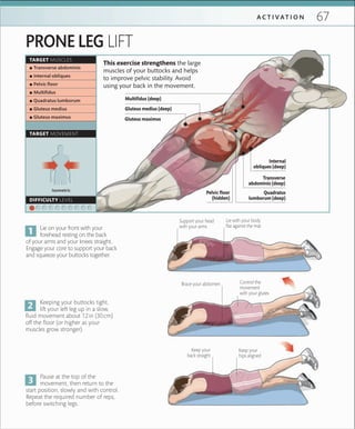 67A C T I V A T I O N
Isometric
TARGET MUSCLES
TARGET MOVEMENT
DIFFICULTY LEVEL
 ▪ Transverse abdominis
 ▪ Internal obliques
 ▪ Pelvic ﬂoor
 ▪ Multiﬁdus
 ▪ Quadratus lumborum
 ▪ Gluteus medius
 ▪ Gluteus maximus
PRONE LEG LIFT
Lie on your front with your
forehead resting on the back
of your arms and your knees straight.
Engage your core to support your back
and squeeze your buttocks together.
Keeping your buttocks tight,
lift your left leg up in a slow,
fluid movement about 12in (30cm)
off the floor (or higher as your
muscles grow stronger).
Pause at the top of the
movement, then return to the
start position, slowly and with control.
Repeat the required number of reps,
before switching legs.
Brace your abdomen
Support your head
with your arms
Keep your
hips aligned
This exercise strengthens the large
muscles of your buttocks and helps
to improve pelvic stability. Avoid
using your back in the movement.
Lie with your body
ﬂat against the mat
Keep your
back straight
Control the
movement
with your glutes
Pelvic floor
(hidden)
Gluteus medius (deep)
Gluteus maximus
Internal
obliques (deep)
Quadratus
lumborum (deep)
Transverse
abdominis (deep)
Multifidus (deep)
 