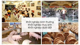 Khởi nghiệp bình thường
Khởi nghiệp mưu sinh
Khởi nghiệp dưới đất
 