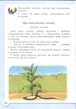 Прочитайте перську легенду про походження
тютюну.
У чому, на вашу думку, підступність цієї
рослини?
Про походження тютюну
Перська легенда
Ішов якось чоловік узимку пустелею і побачив
напівзамерзлу змію. Підняв її і, пожалівши, відігрів
у себе за пазухою. Коли змія отямилася, вона сказала
чоловікові:
— Я маю вкусити тебе, бо дала таку клятву.
— Що ж, ти повинна дотриматися слова, — відповів
чоловік і підставив руку.
Потім, струсивши змію, він висмоктав отруту з ранки
і сплюнув її на землю.
У цьому місці виросла рослина, що володіє підступ­
ністю змії. Це був тютюн.
 