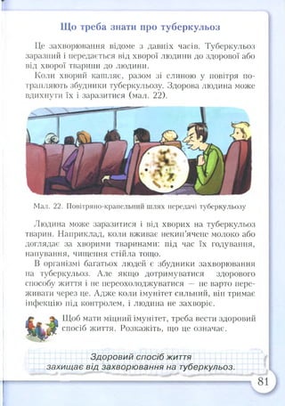 Що треба знати про туберкульоз
Це захворювання відоме з давніх часів. Туберкульоз
заразний і передається від хворої людини до здорової або
від хворої тварини до людини.
Коли хворий кашляє, разом зі слиною у повітря по­
трапляють збудники туберкульозу. Здорова людина може
вдихнути їх і заразитися (мал. 22).
Мал. 22. Повітряно-крапельний шлях передачі туберкульозу
Людина може заразитися і від хворих на туберкульоз
тварин. Наприклад, коли вживає некип’ячене молоко або
доглядає за хворими тваринами: під час їх годування,
напування, чищення стійла тощо.
В організмі багатьох людей є збудники захворювання
на туберкульоз. Але якщо дотримуватися здорового
способу життя і не переохолоджуватися — не варто пере­
живати через це. Адже коли імунітет сильний, він тримає
інфекцію під контролем, і людина не захворіє.
Щоб мати міцний імунітет, треба вести здоровий
спосіб життя. Розкажіть, що це означає.
Здоровий спосіб життя
захищає від захворювання на туберкульоз.
 