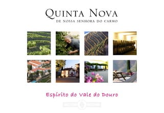 Espírito do Vale do Douro
 