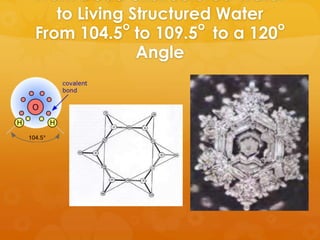 From Dead Unstructured Water
   to Living Structured Water
            o         o       o
From 104.5 to 109.5 to a 120
              Angle
 