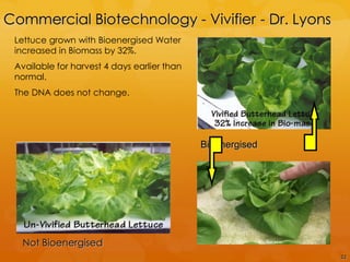 Commercial Biotechnology - Vivifier - Dr. Lyons
 Lettuce grown with Bioenergised Water
 increased in Biomass by 32%.
 Available for harvest 4 days earlier than
 normal.
 The DNA does not change.




                                             Bioenergised




   Not Bioenergised
                                                            32
 
