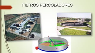 FILTROS PERCOLADORES
 