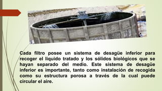 Cada filtro posee un sistema de desagüe inferior para
recoger el liquido tratado y los sólidos biológicos que se
hayan separado del medio. Este sistema de desagüe
inferior es importante, tanto como instalación de recogida
como su estructura porosa a través de la cual puede
circular el aire.
 