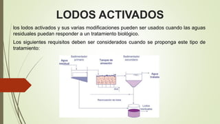 LODOS ACTIVADOS
los lodos activados y sus varias modificaciones pueden ser usados cuando las aguas
residuales puedan responder a un tratamiento biológico.
Los siguientes requisitos deben ser considerados cuando se proponga este tipo de
tratamiento:
 