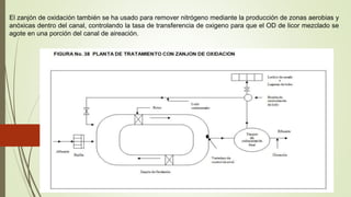 El zanjón de oxidación también se ha usado para remover nitrógeno mediante la producción de zonas aerobias y
anóxicas dentro del canal, controlando la tasa de transferencia de oxigeno para que el OD de licor mezclado se
agote en una porción del canal de aireación.
 