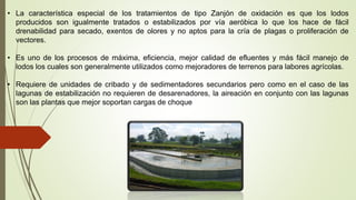 • La característica especial de los tratamientos de tipo Zanjón de oxidación es que los lodos
producidos son igualmente tratados o estabilizados por vía aeróbica lo que los hace de fácil
drenabilidad para secado, exentos de olores y no aptos para la cría de plagas o proliferación de
vectores.
• Es uno de los procesos de máxima, eficiencia, mejor calidad de efluentes y más fácil manejo de
lodos los cuales son generalmente utilizados como mejoradores de terrenos para labores agrícolas.
• Requiere de unidades de cribado y de sedimentadores secundarios pero como en el caso de las
lagunas de estabilización no requieren de desarenadores, la aireación en conjunto con las lagunas
son las plantas que mejor soportan cargas de choque
 