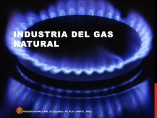 INDUSTRIA DEL GAS
NATURAL
UNIVERSIDAD NACIONAL DE QUILMES - PALACIO CAMPO L. ARIEL
 