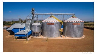 15
Fonte: Kepler weber
 