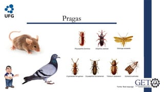 Pragas
16
Fonte: Real expurgo
 