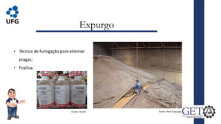 Expurgo
17
• Técnica de fumigação para eliminar
pragas;
• Fosfina.
Fonte: Real Expurgo
Fonte: Girioli
 